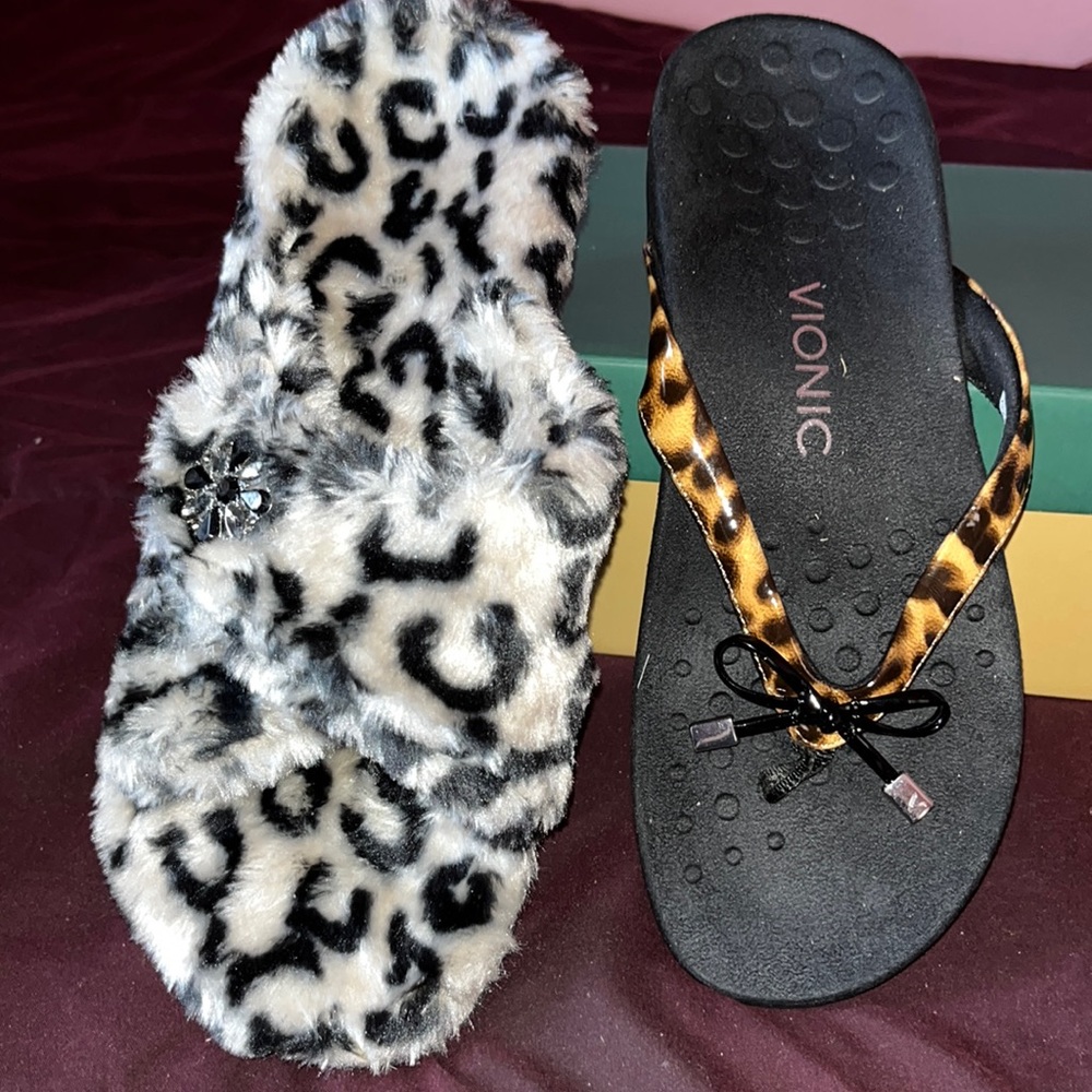 Cute Slippers